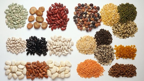 beans grains