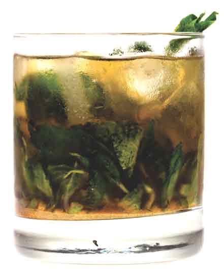Alacran-Tequila-Mint-and-Gi