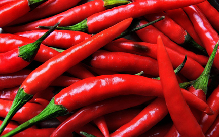 Chili-Peppers-(1)