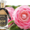 Krigler’s Love Affair with Camellias! It’s Great Fragrance that Gives You a  Sensual Feeling of Spring!