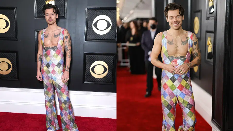 harry styles egonlab