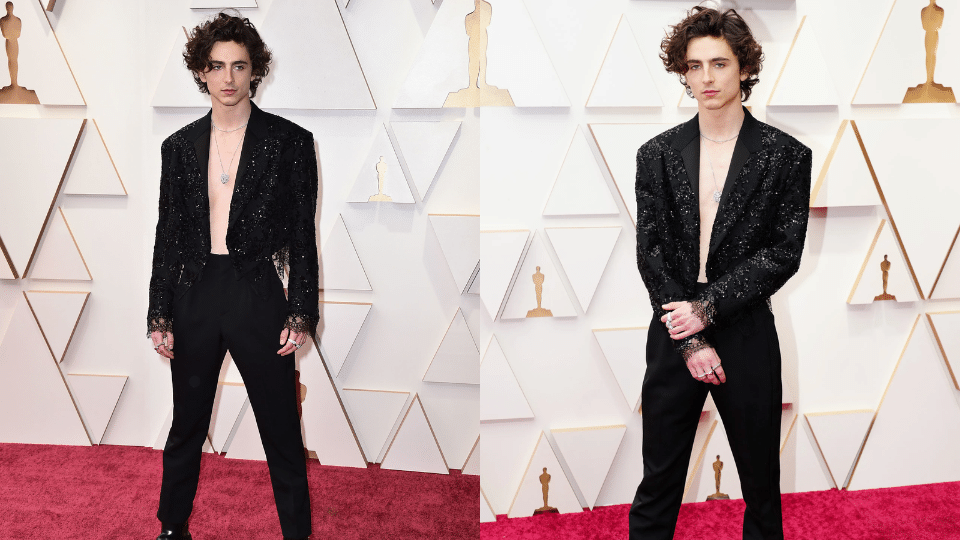 timothee chalamet louis vuitton