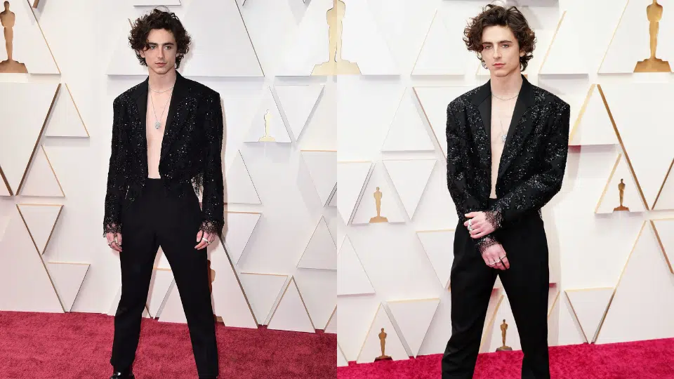 timothee chalamet louis vuitton