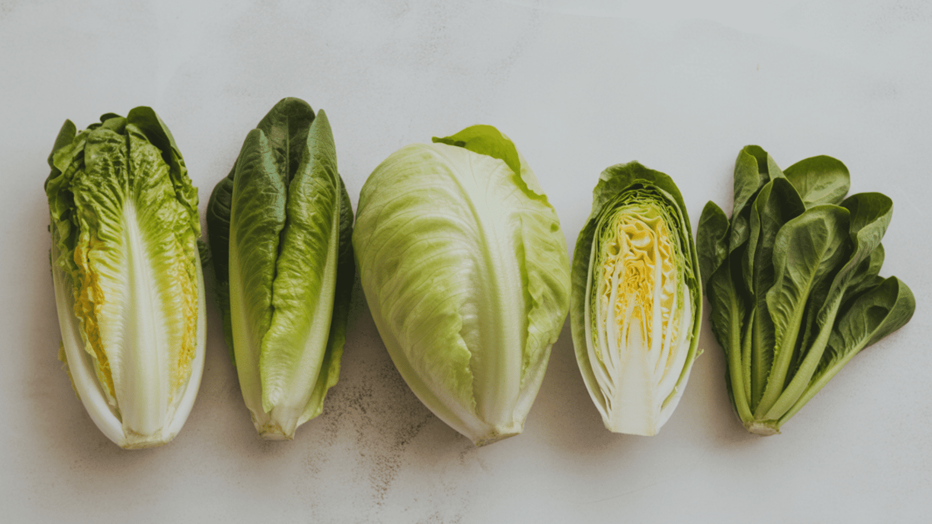 best lettuce types for creamy salad dressing