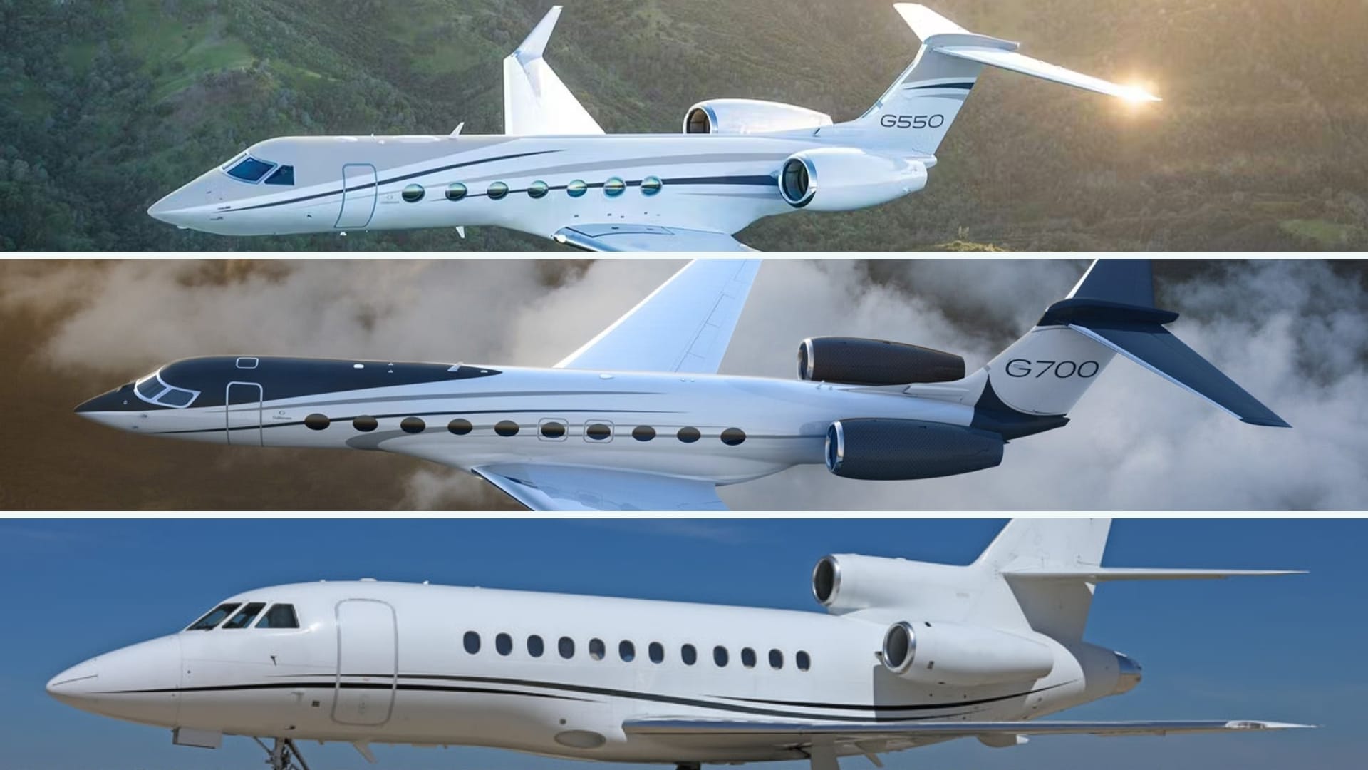elon musk private jets