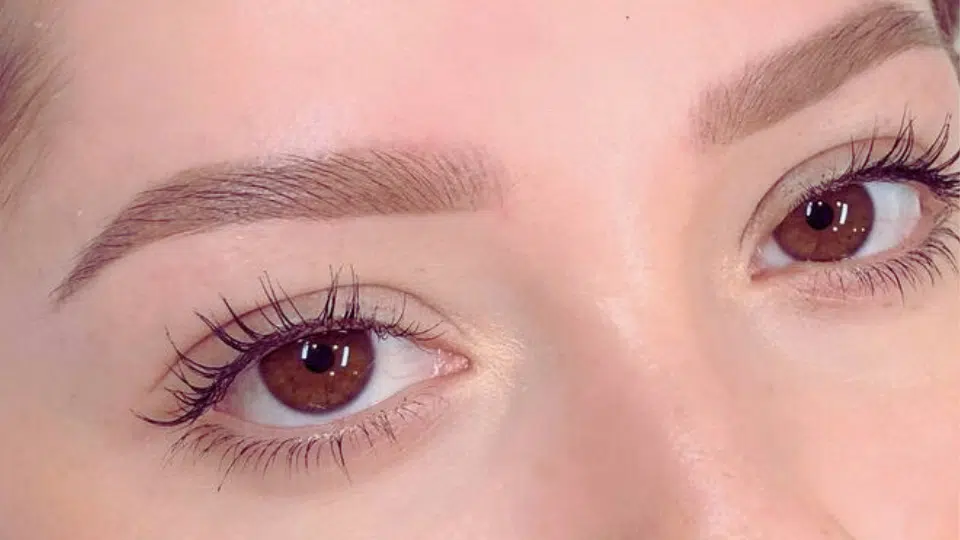 powder brows pros cons comparison