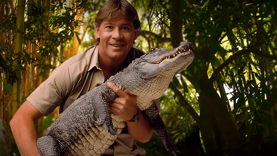 steve irwins death stingray killed