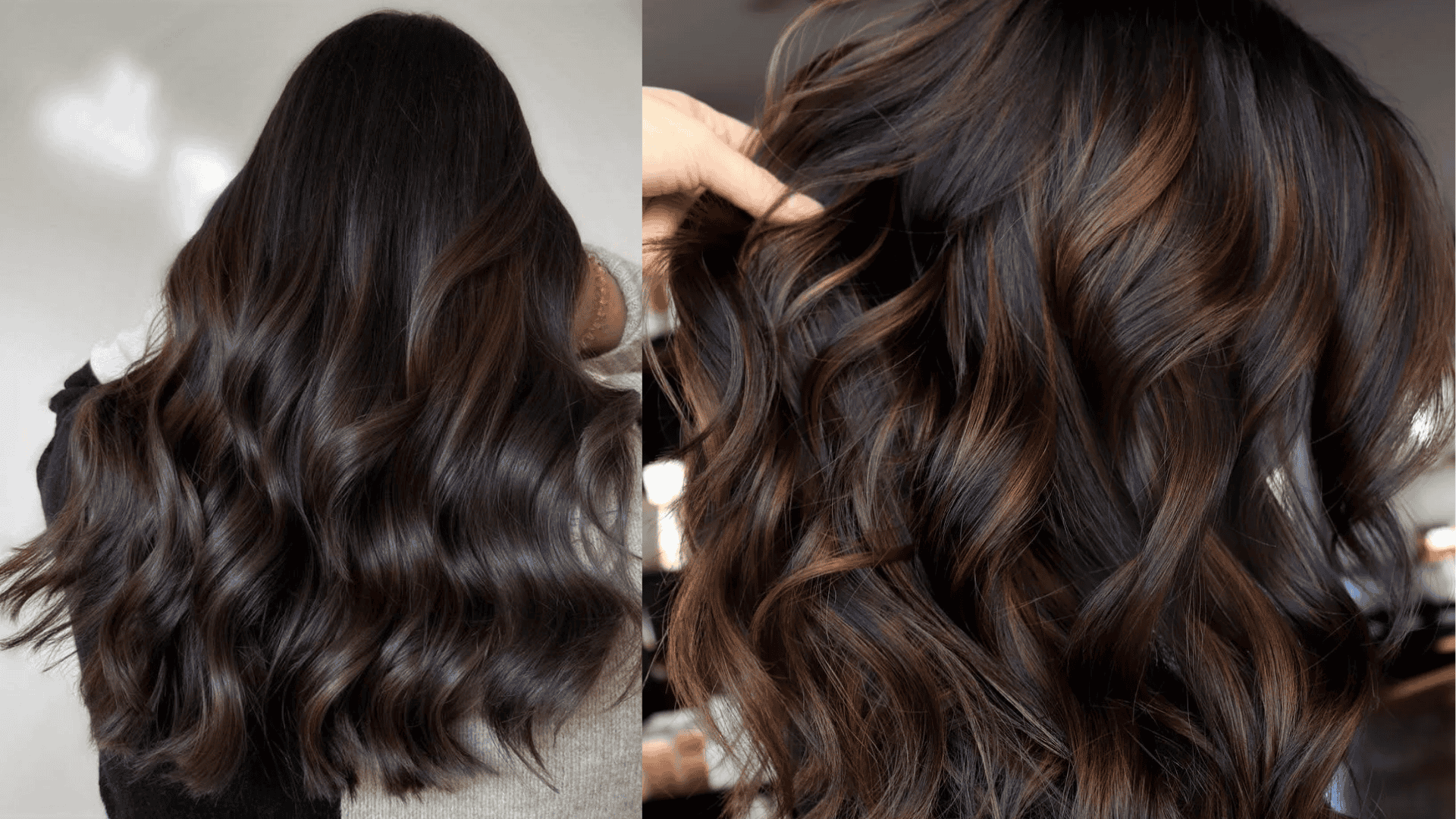 black with chocolate accents