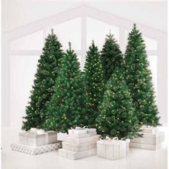 Buy More, Spend Le$$! Target Previews Black Fri. Sale Now; Pickup on Wed! #1