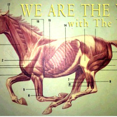 Music Notes: Hot Musicians You Should See !  Hot Show Tickets  on Sale NOW!